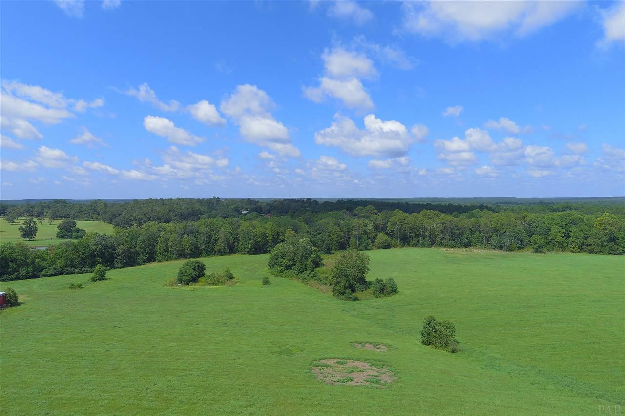 900 Jacks Branch Road Cantonment, FL 32533 - Photo 13 of 25