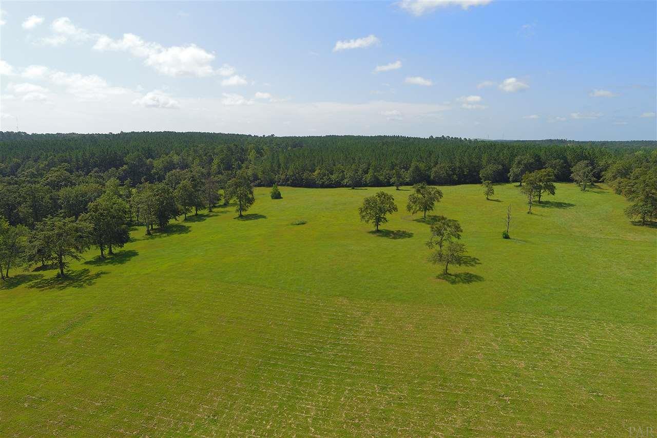 900 Jacks Branch Road Cantonment, FL 32533 - Photo 14 of 25