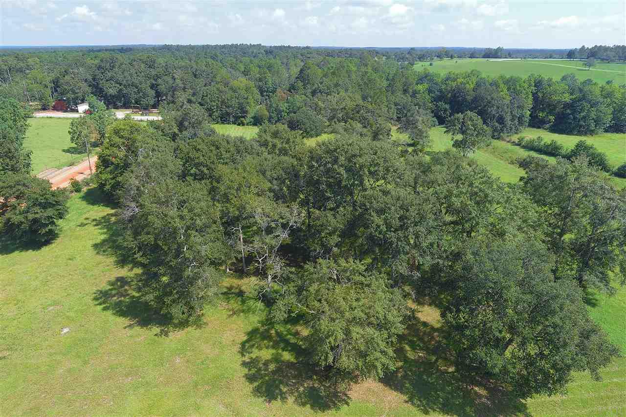 900 Jacks Branch Road Cantonment, FL 32533 - Photo 15 of 25