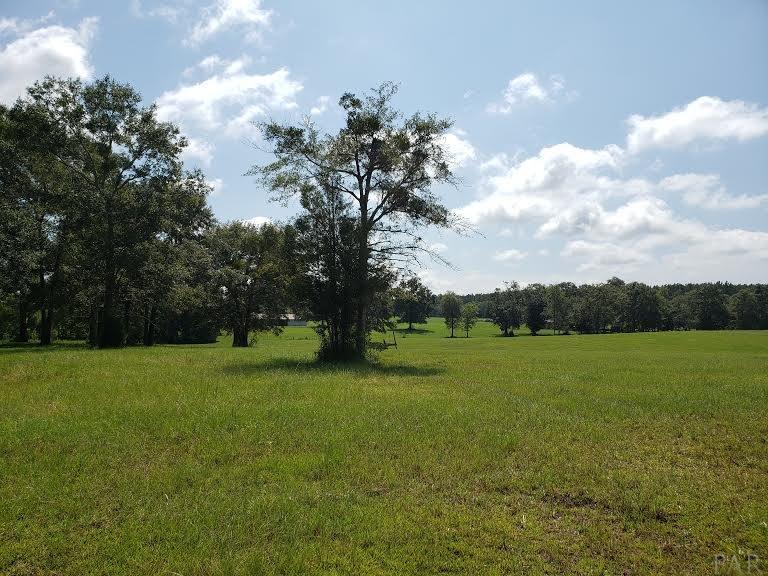 900 Jacks Branch Road Cantonment, FL 32533 - Photo 16 of 25