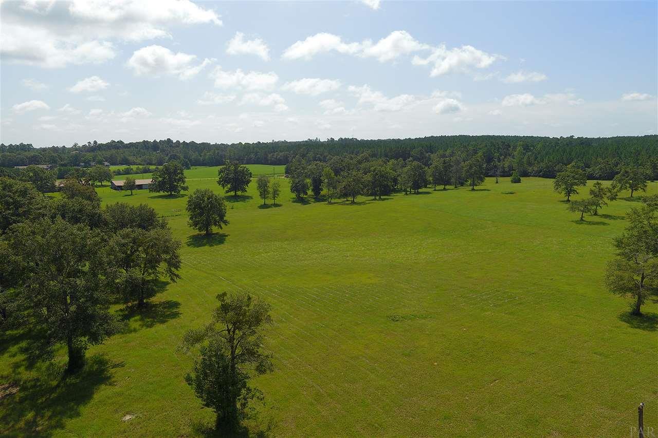 900 Jacks Branch Road Cantonment, FL 32533 - Photo 6 of 25