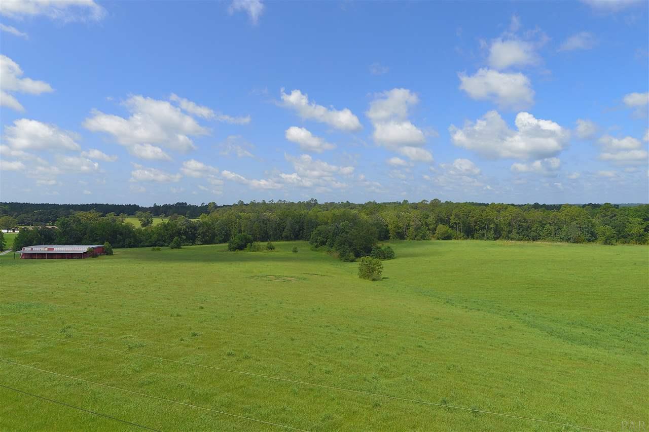 900 Jacks Branch Road Cantonment, FL 32533 - Photo 9 of 25
