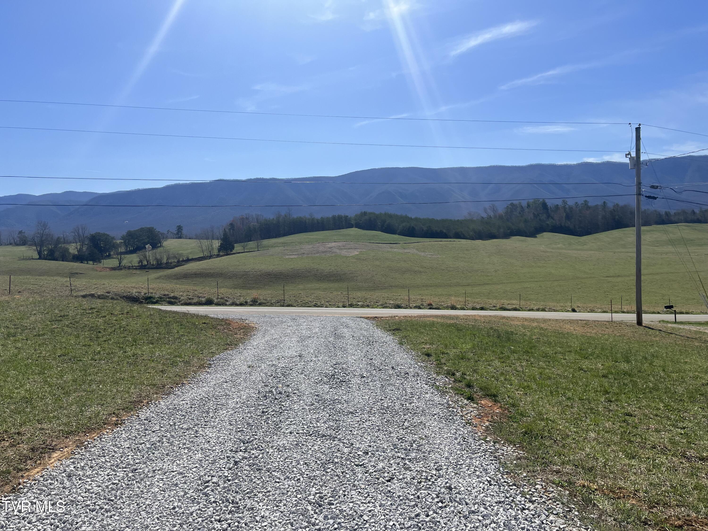 0 Red Hill Road Greeneville, TN 37743 - Photo 1 of 13 IMG_3546