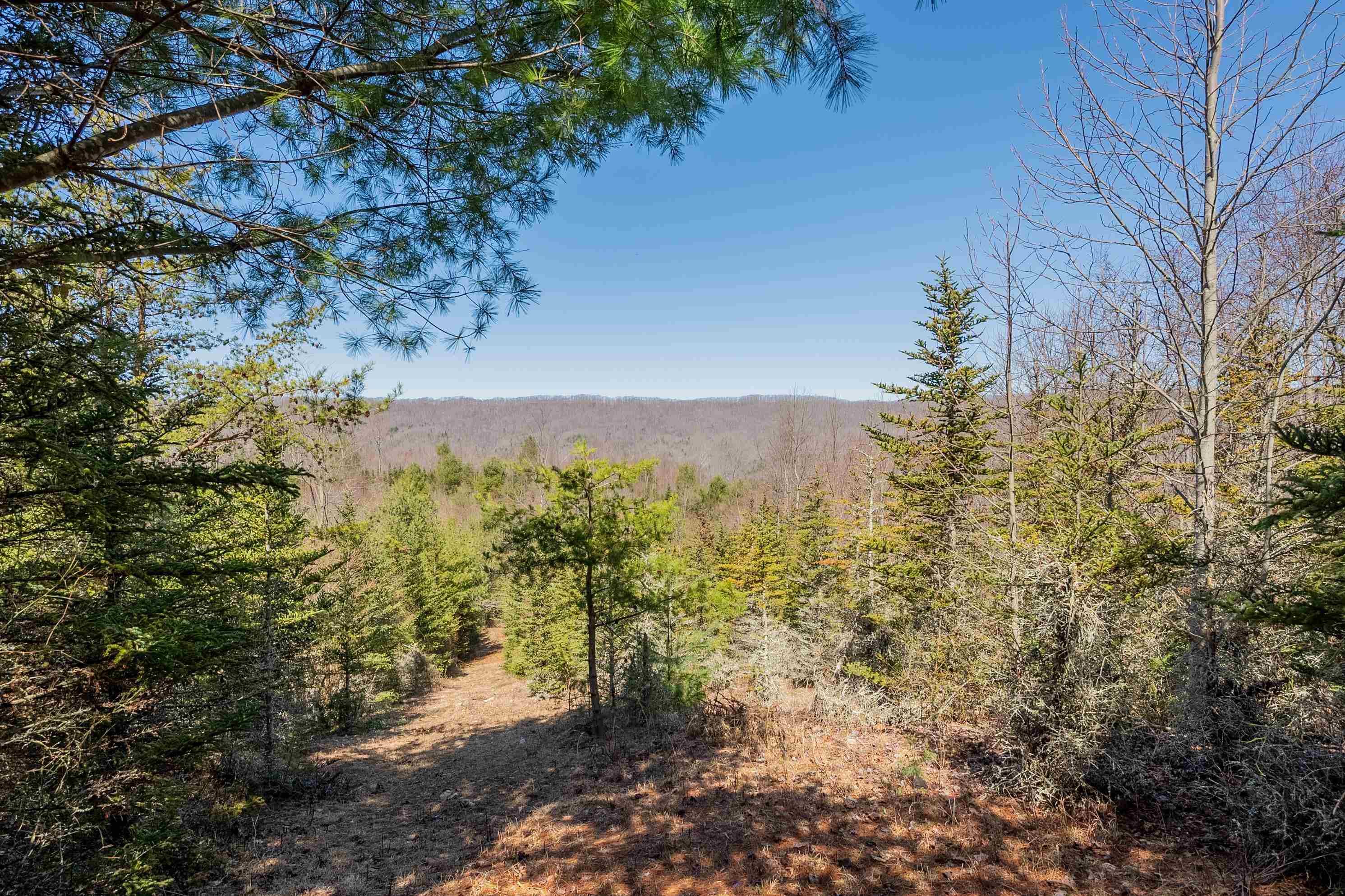 Tbd Southwest Tbd Sw Jeb Stuart Road Southwest Damascus, VA 24236 - Photo 71 of 113 Gallery Image 71