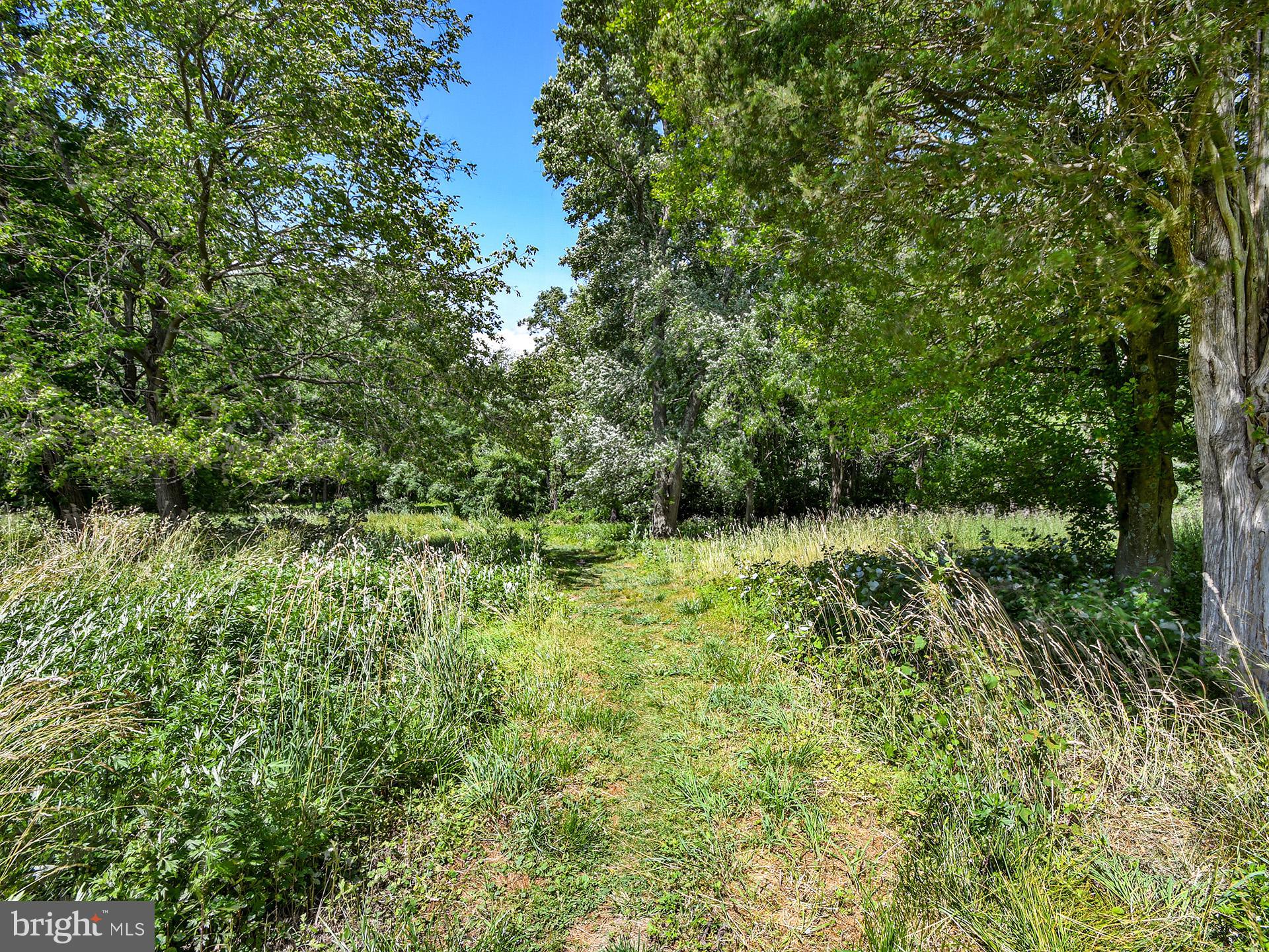 1304 Wheaton Lane Silver Spring, MD 20902 - Photo 62 of 62