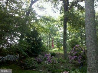 2676 Walston Road Mount Airy, MD 21771 - Photo 18 of 28 a view of a forest with trees in front of it