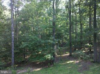 2676 Walston Road Mount Airy, MD 21771 - Photo 20 of 28 a view of a forest with trees