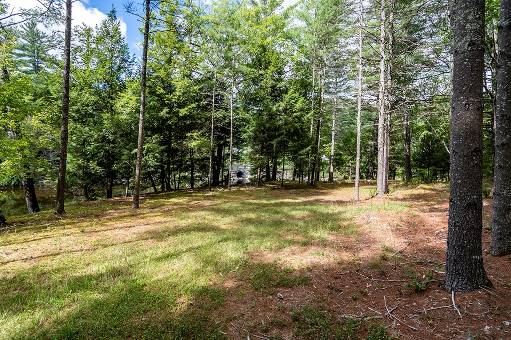 0 Hulls Falls Road Keene, NY 12942 - Photo 12 of 24 Gallery Image 12