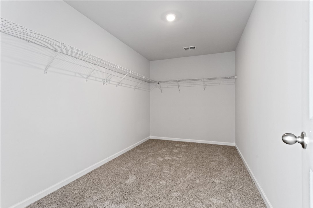 146 Cedar Shoals Easley, SC 29640 - Photo 25 of 34 This spacious walk-in closet features ample wire shelving and plush carpeting.