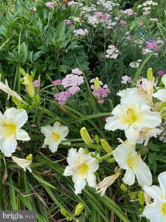 $675,000 | 115 Lakeside Drive, Greenbelt, MD 20770