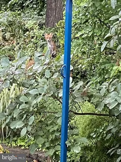 $675,000 | 115 Lakeside Drive, Greenbelt, MD 20770