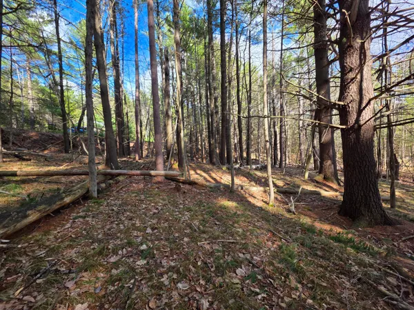 $29,000 | 38 Hochsteig Lane, Jay, NY 12941