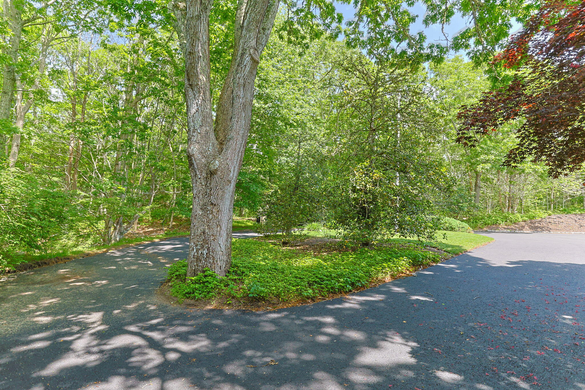 101 Two Ponds Road Falmouth, MA 02540 - Photo 41 of 54 46-web-or-mls-101-two-ponds-rd