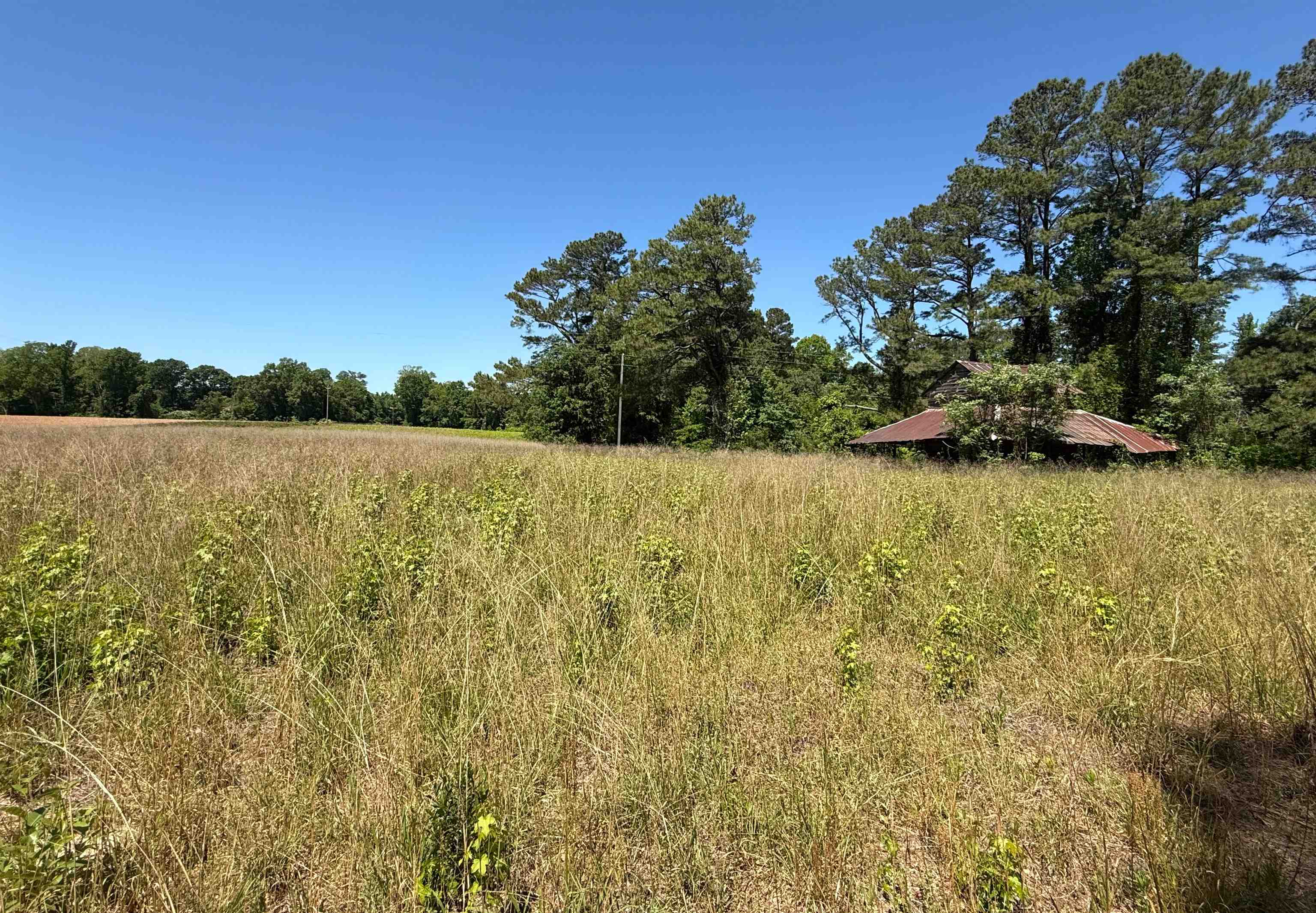 Tbd Tbd Mitchell Sea Rd Green Green Sea, SC 29545 - Photo 1 of 28
