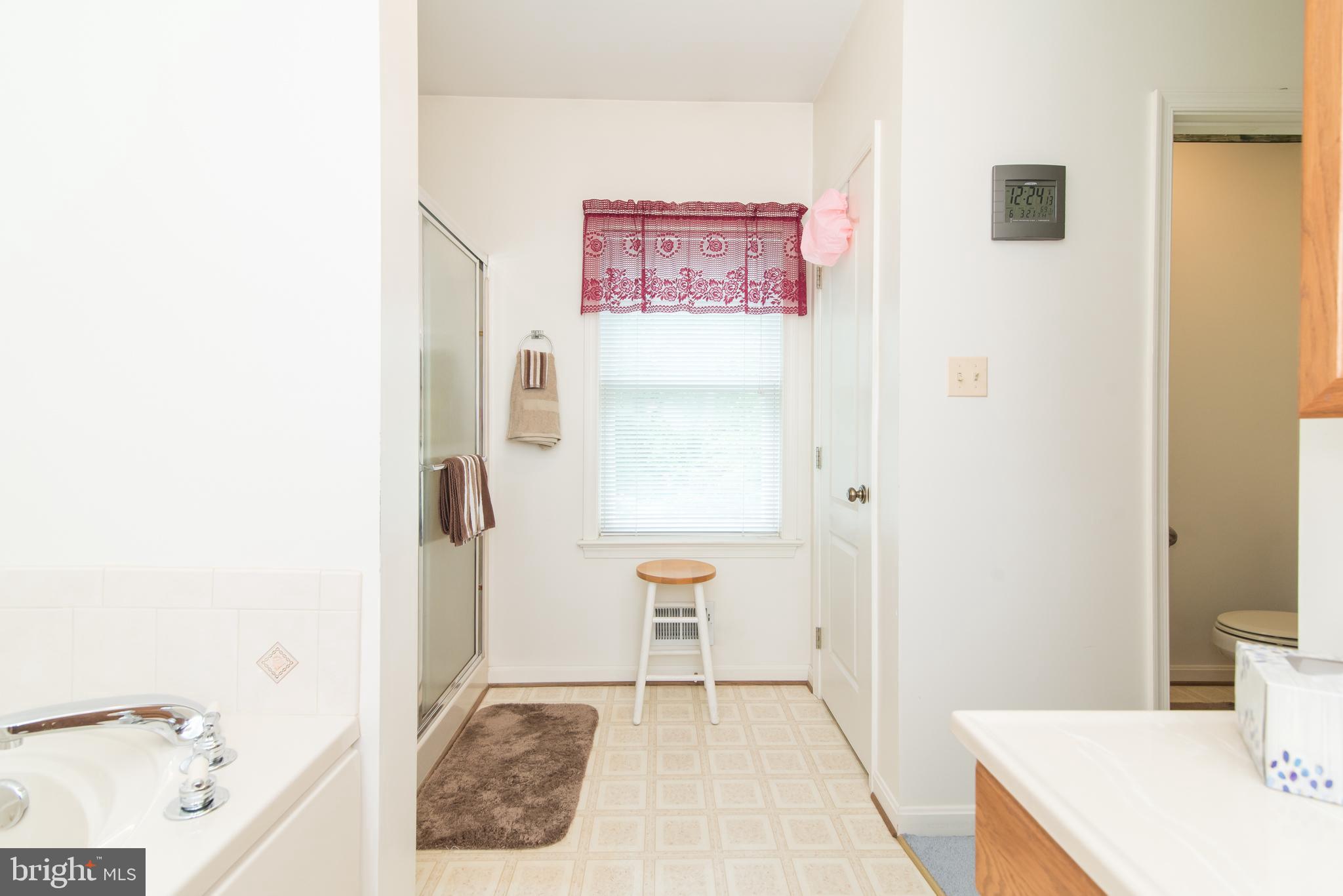 1289 Frogtown Road Bluemont, VA 20135 - Photo 13 of 30 Master bath