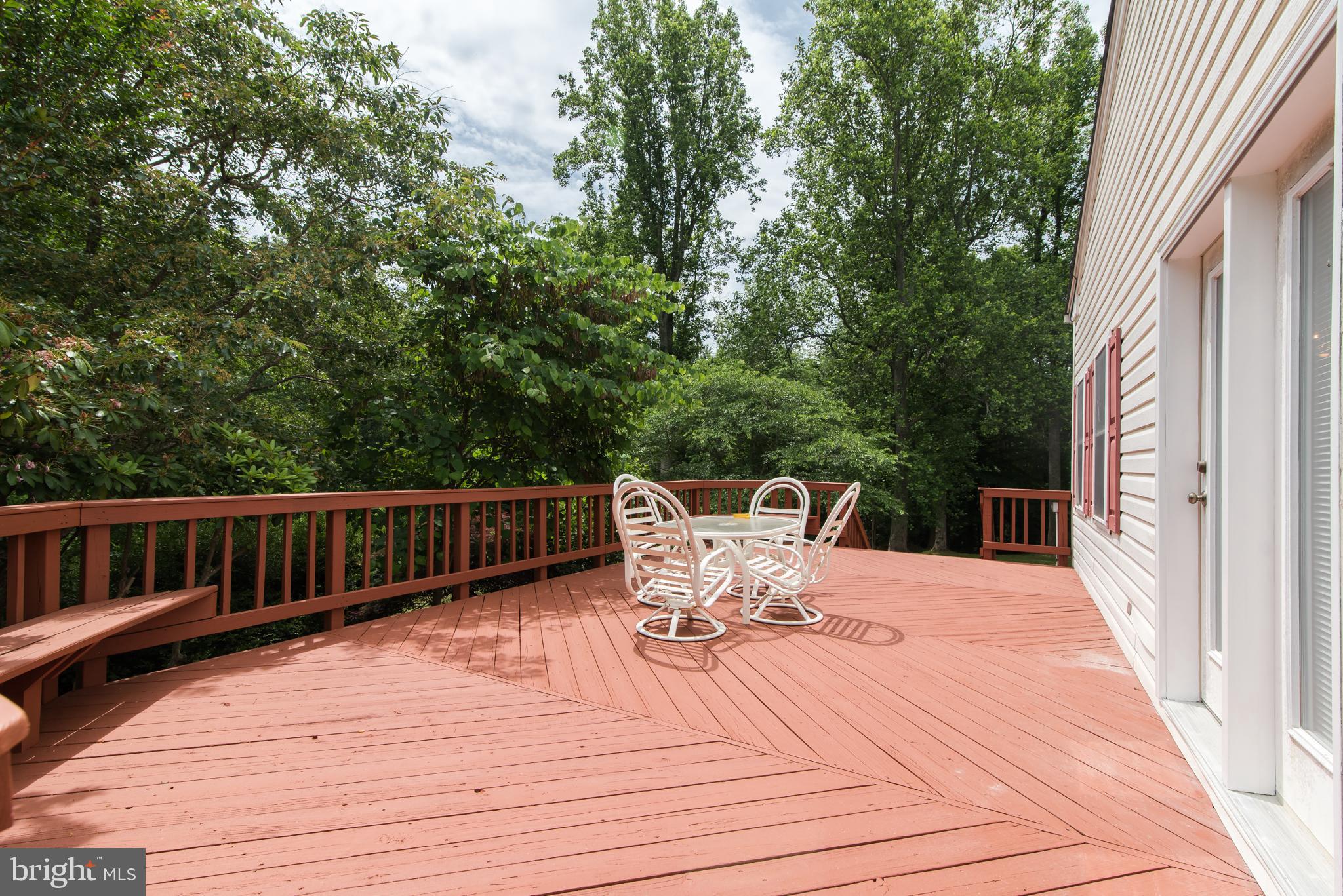 1289 Frogtown Road Bluemont, VA 20135 - Photo 21 of 30 Grand deck