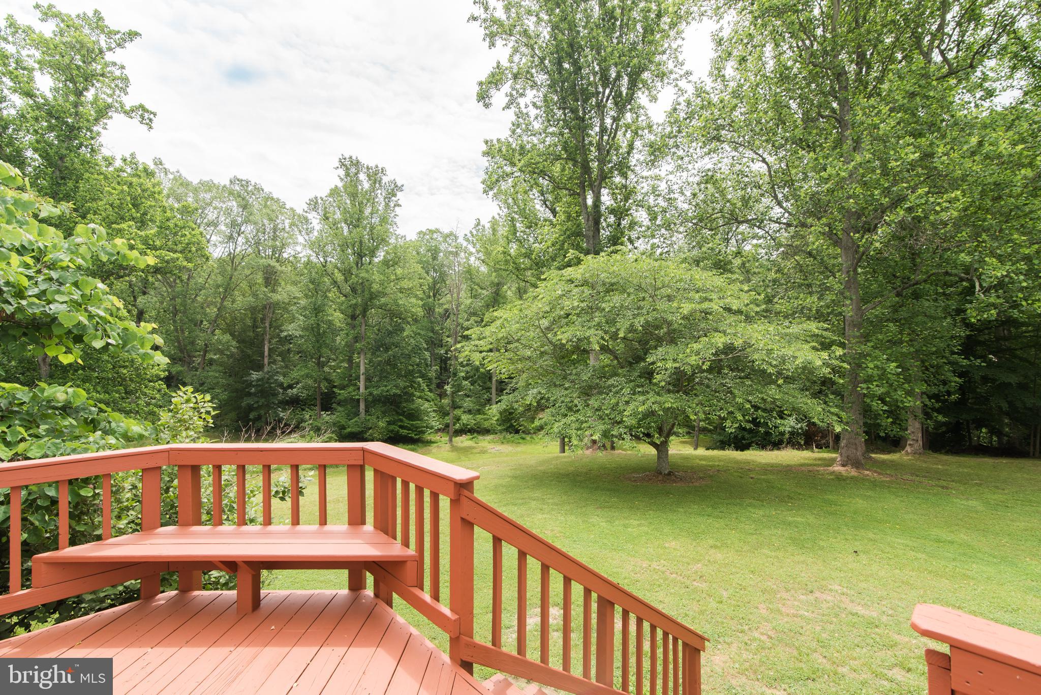 1289 Frogtown Road Bluemont, VA 20135 - Photo 22 of 30 View from deck