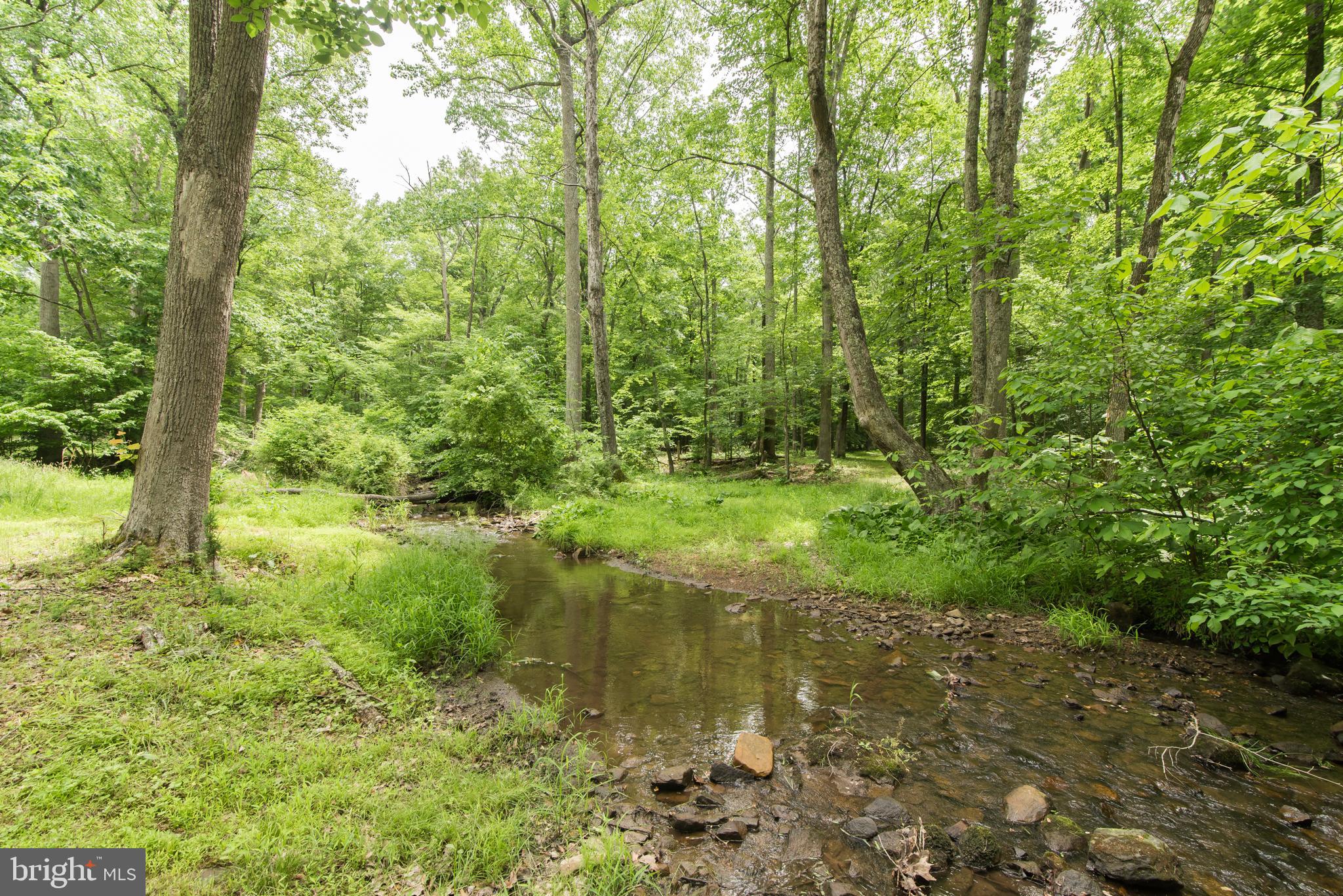 1289 Frogtown Road Bluemont, VA 20135 - Photo 25 of 30 Mountain stream runs through property