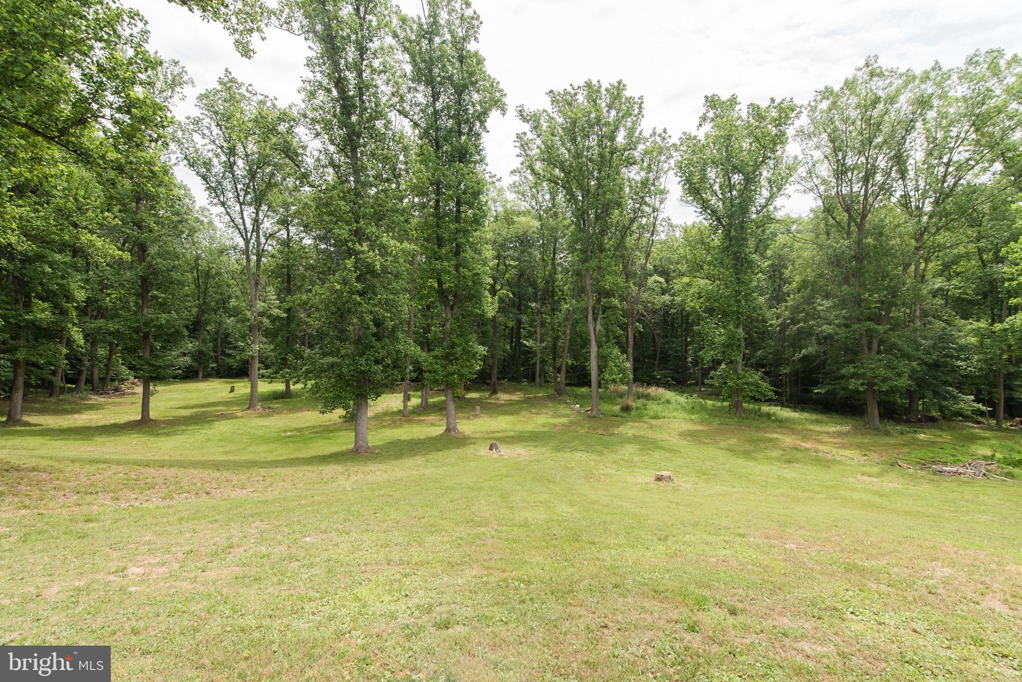 1289 Frogtown Road Bluemont, VA 20135 - Photo 26 of 30 Park like back yard