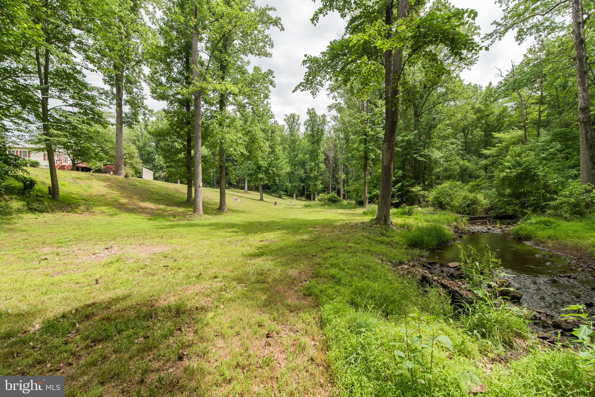 1289 Frogtown Road Bluemont, VA 20135 - Photo 27 of 30 Beautiful open space