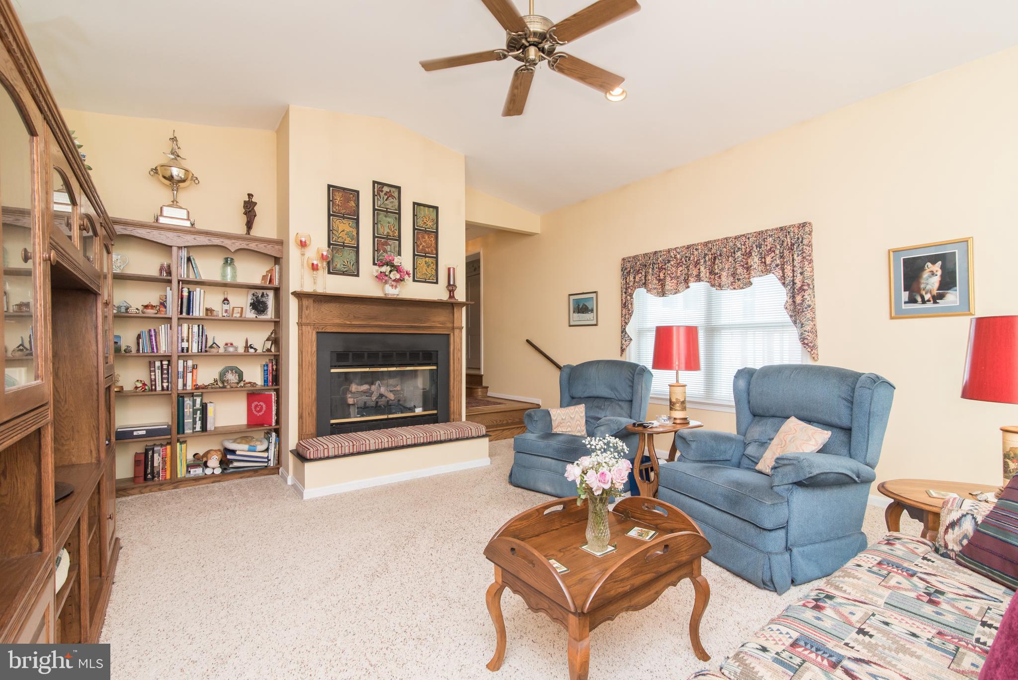 1289 Frogtown Road Bluemont, VA 20135 - Photo 8 of 30 Family room with fireplace