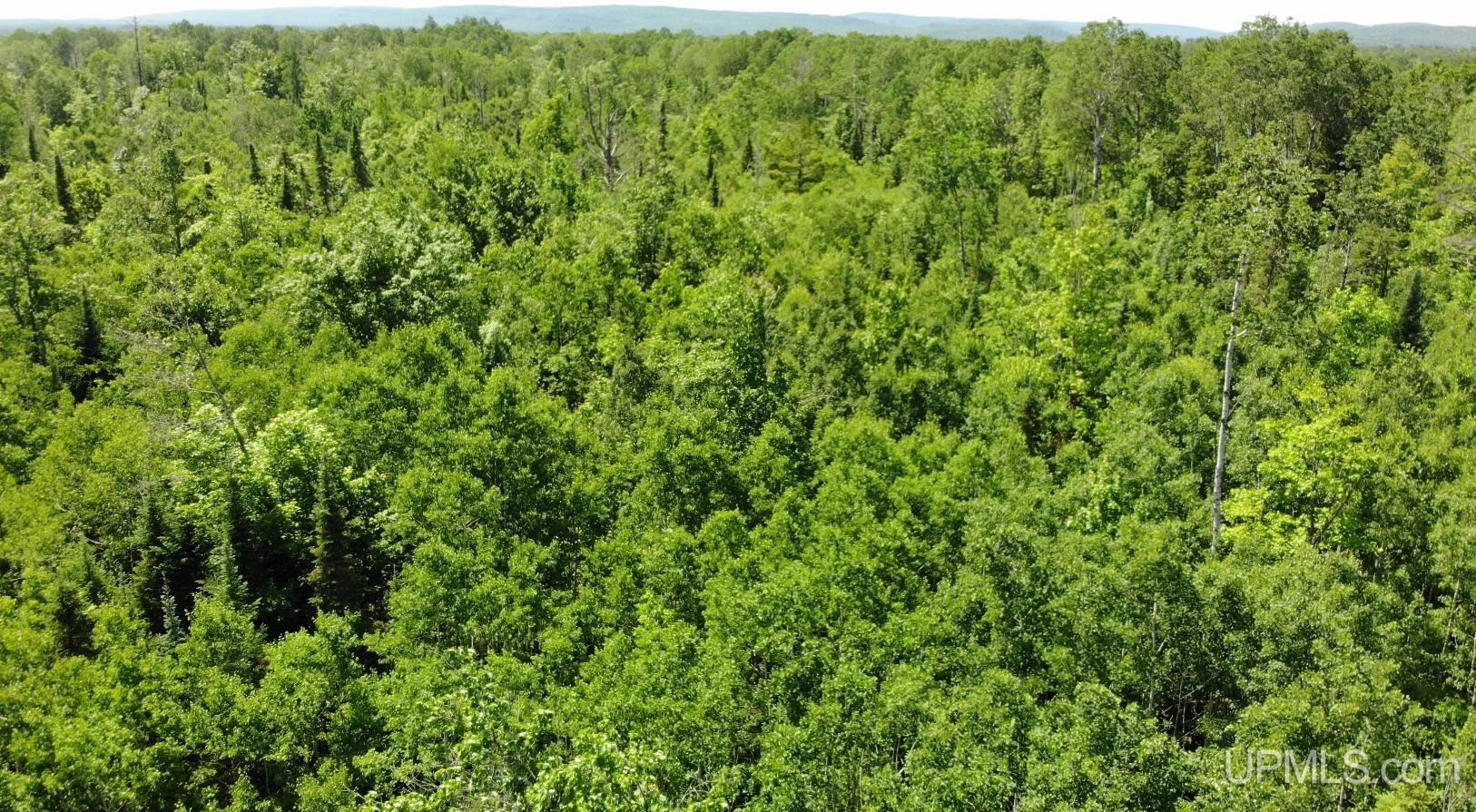 1 Norwich Road Ewen, MI 49925 - Photo 1 of 15