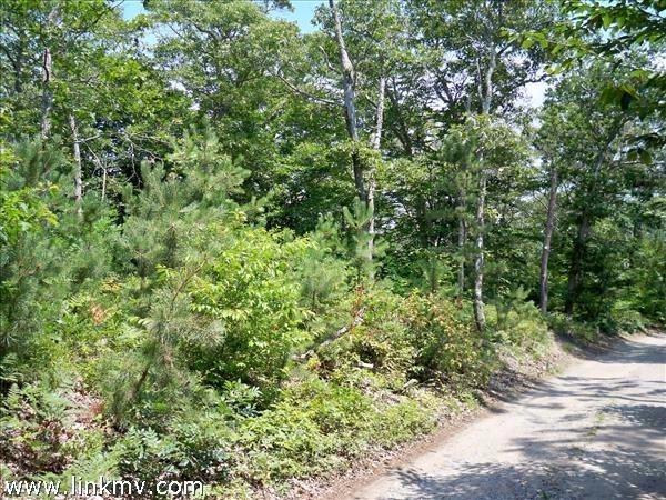 24 Border Road Vineyard Haven, MA 02568 - Photo 2 of 26 Additional Photo