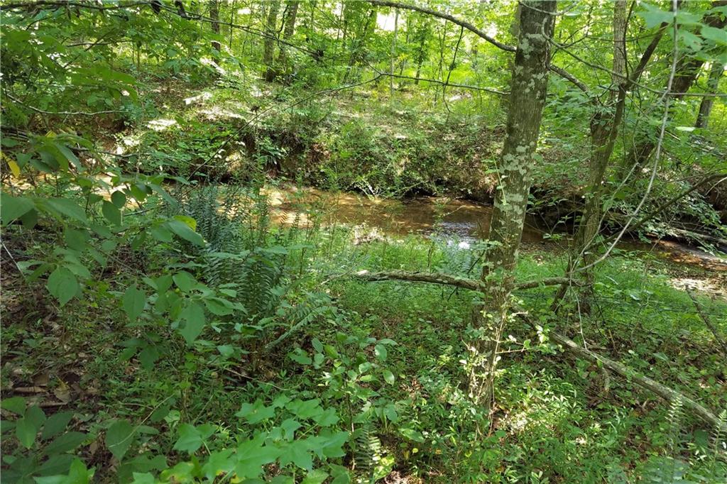 8025 Nicholson Road Cumming, GA 30028 - Photo 1 of 1