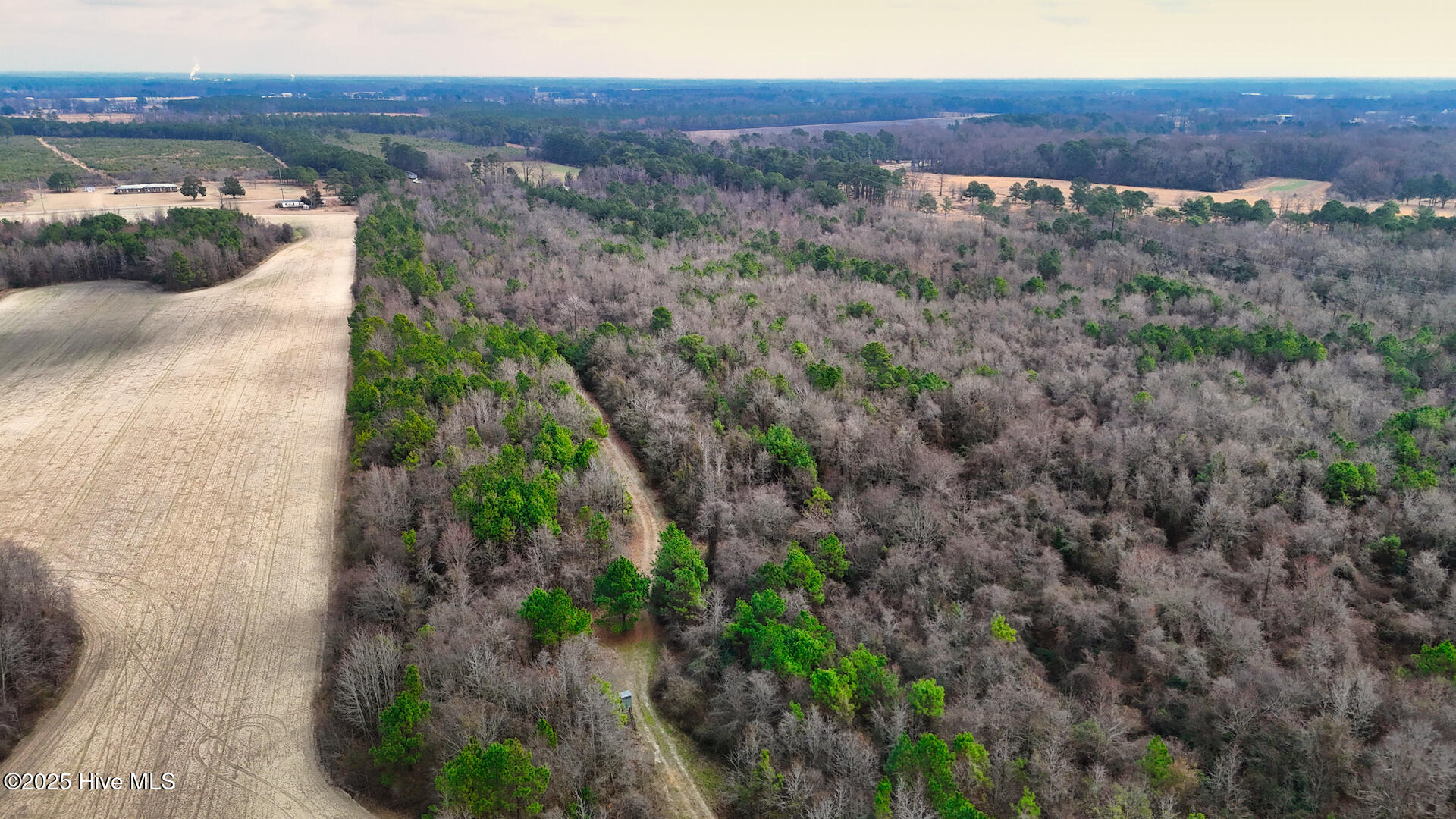 0 East Darden Road Faison, NC 28341 - Photo 16 of 25 31265_Image_16