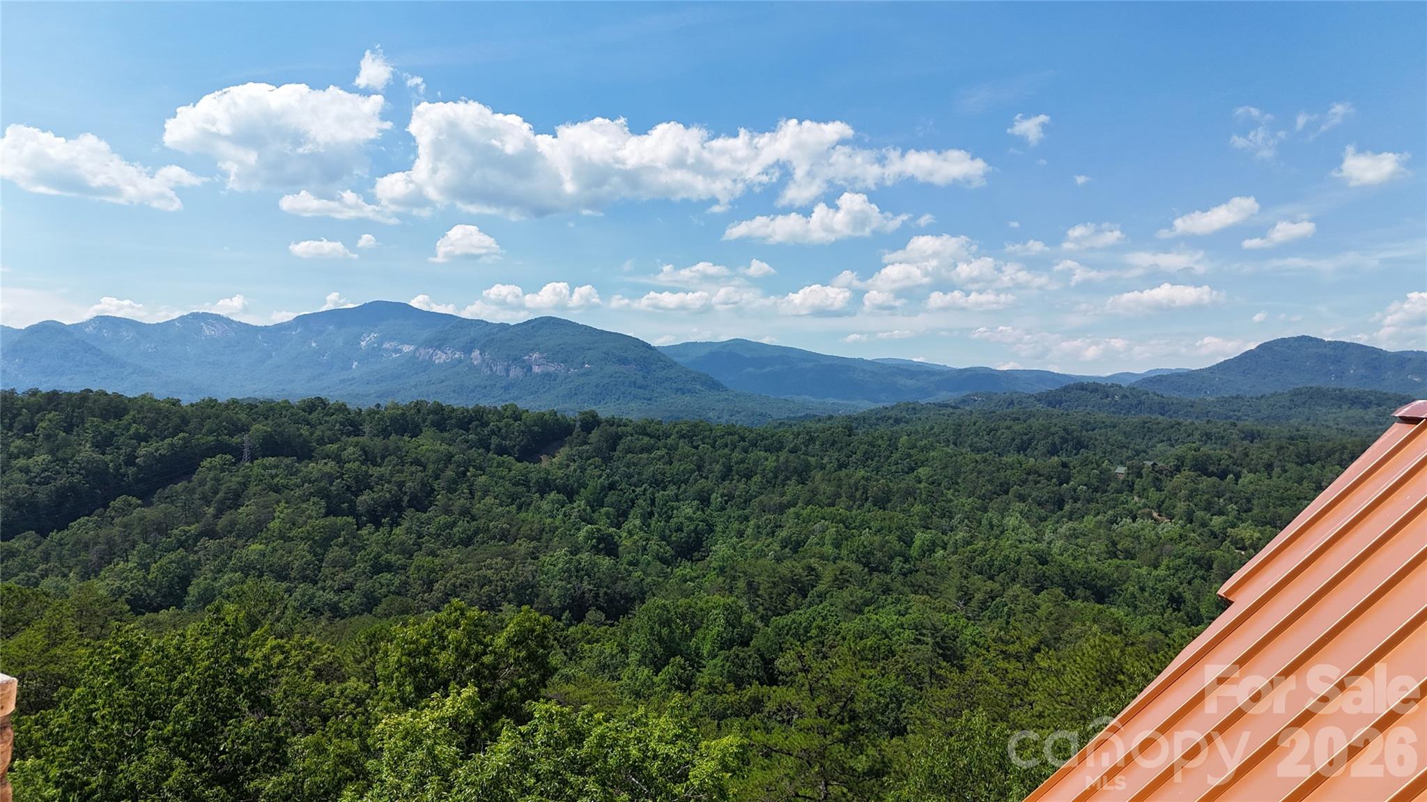 590 Boulder Ridge Lake Lure, NC 28746 - Photo 10 of 18