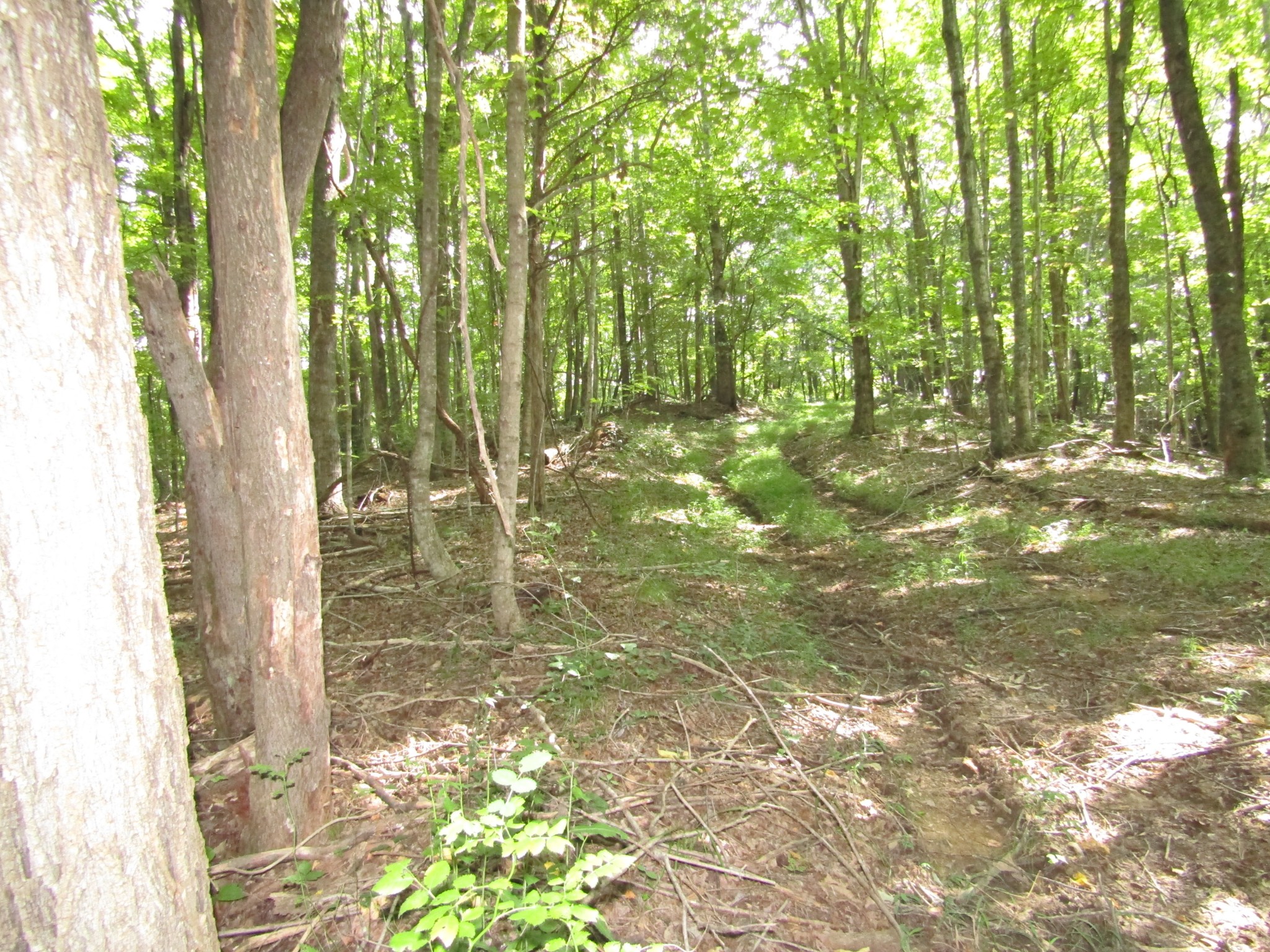 616 Star Point Road Celina, TN 38551 - Photo 23 of 28 Gallery Image 23