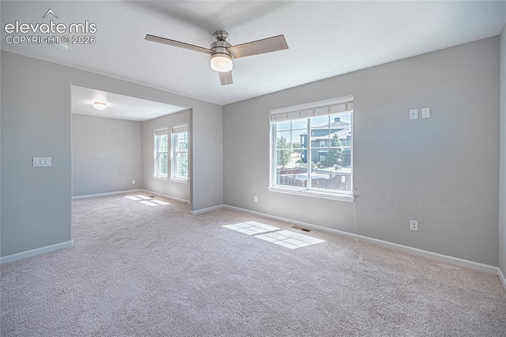 1306 Promontory Bluff View Colorado Springs, CO 80921 - Photo 20 of 39