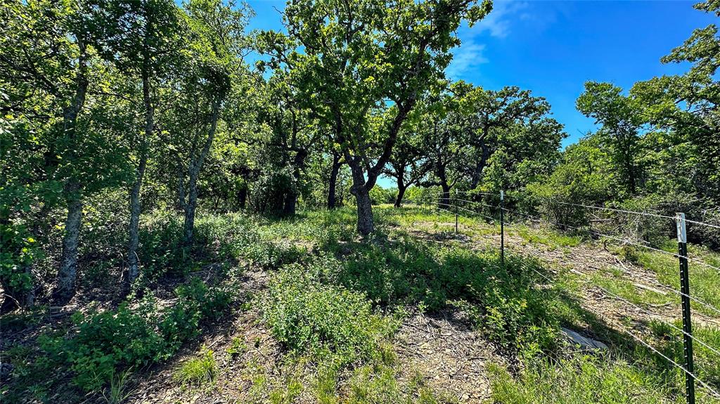 2417 Highway 569 Cisco Tx 76437 Cisco, TX 76437 - Photo 8 of 40