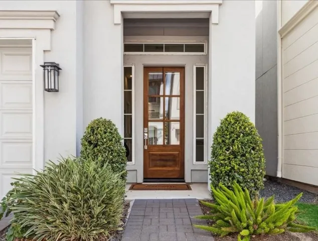 a potted plant in front of a door