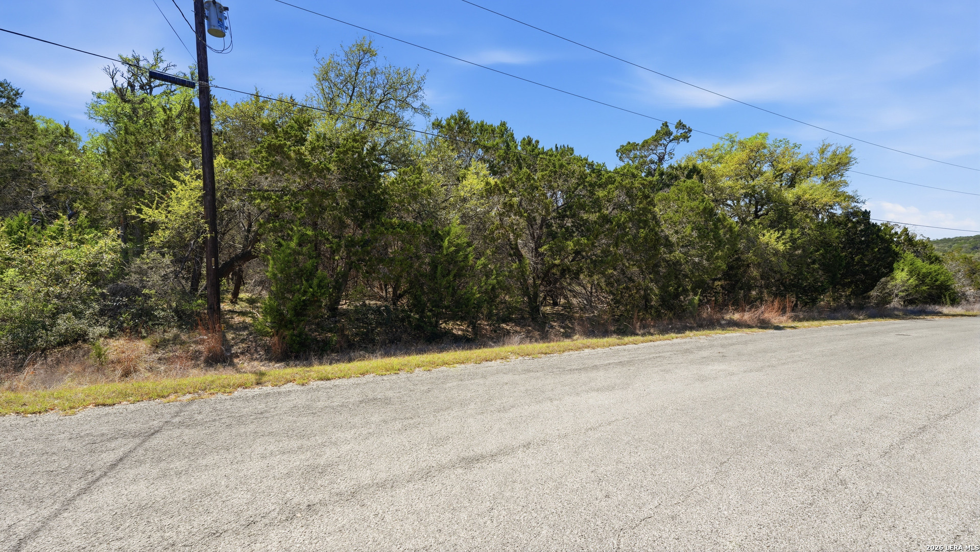 806 Rutherford Fischer, TX 78623 - Photo 6 of 32