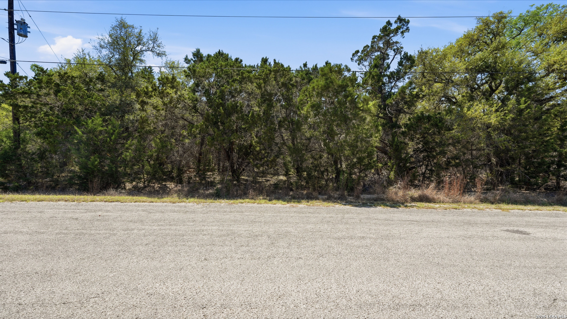 806 Rutherford Fischer, TX 78623 - Photo 7 of 32