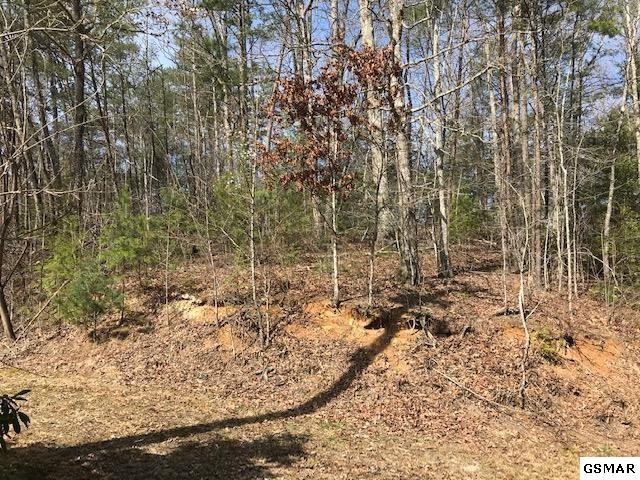 10 Reed Ridge Road Gatlinburg, TN 37738 - Photo 2 of 8