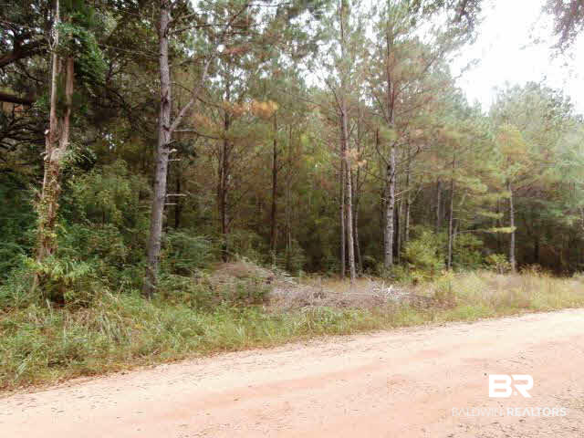 0 Eslava Drive Foley, AL 36535 - Photo 1 of 6