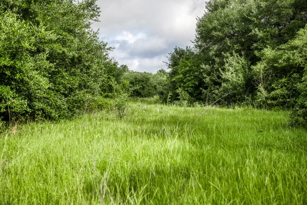 $541,500 | 6 South Nassau Road, Round Top, TX 78954