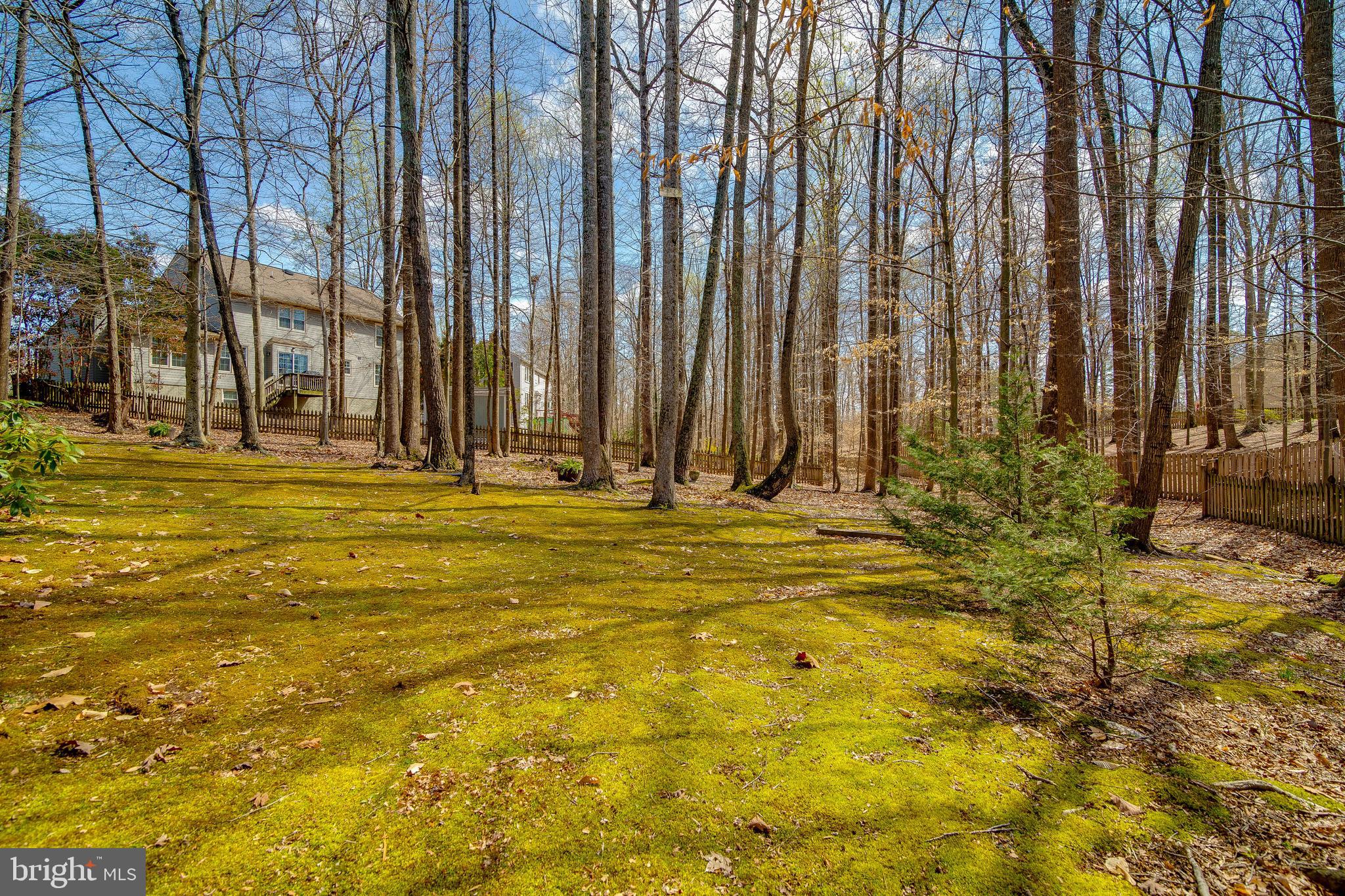 62 Cardinal Forest Drive Fredericksburg, VA 22406 - Photo 44 of 50