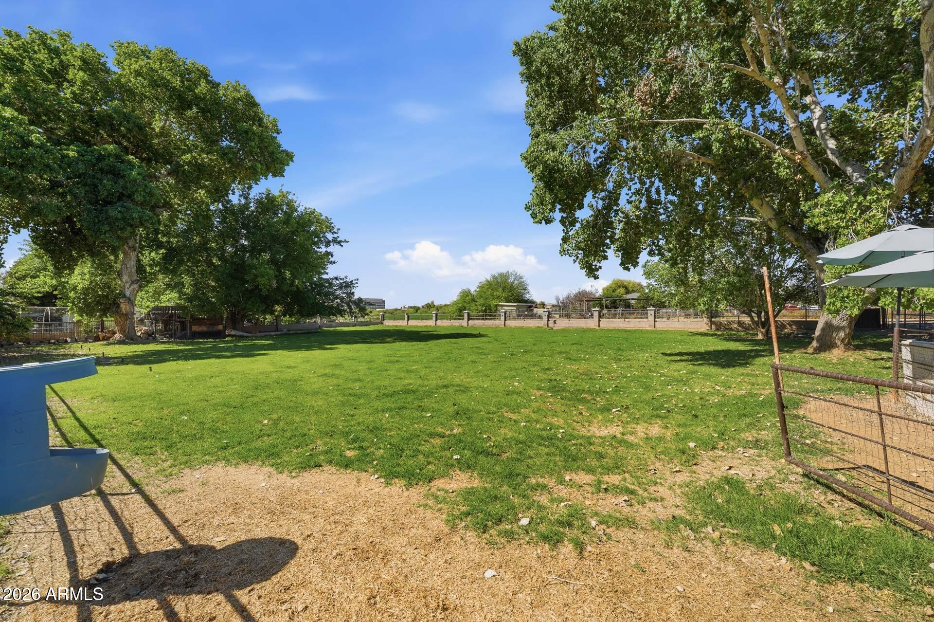 2076 East Willis Road Gilbert, AZ 85297 - Photo 9 of 30 059-pasture