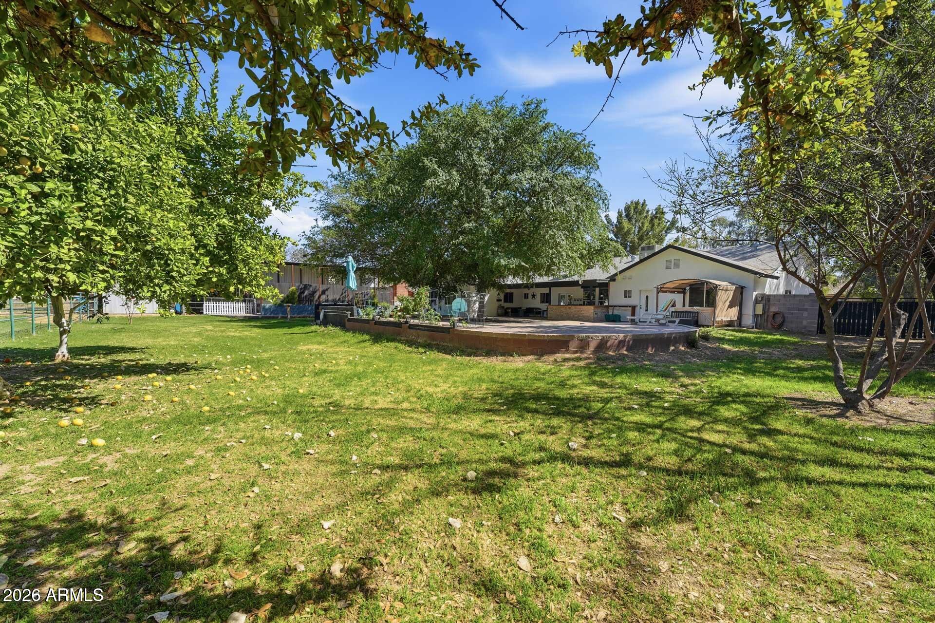 2076 East Willis Road Gilbert, AZ 85297 - Photo 55 of 80 055-backyard