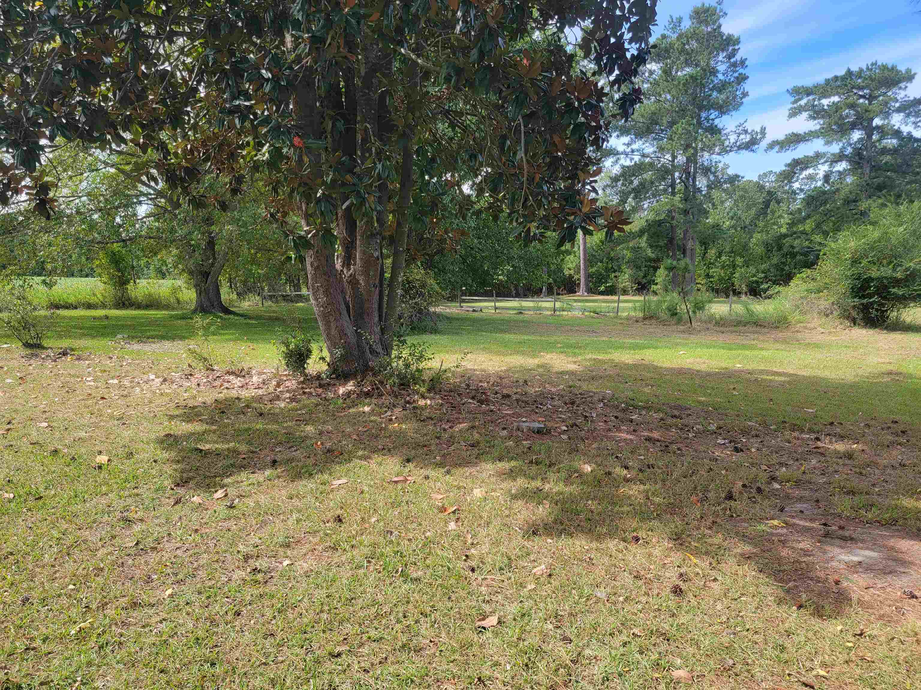 111 Inglenook Road Kingstree, SC 29556 - Photo 3 of 14