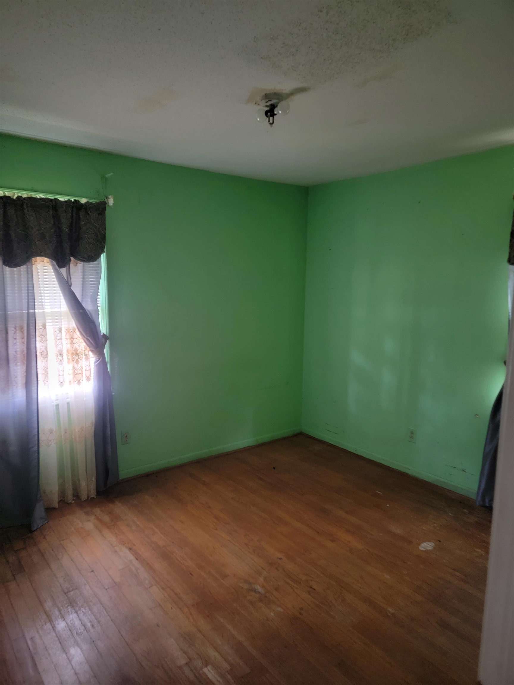 111 Inglenook Road Kingstree, SC 29556 - Photo 9 of 14