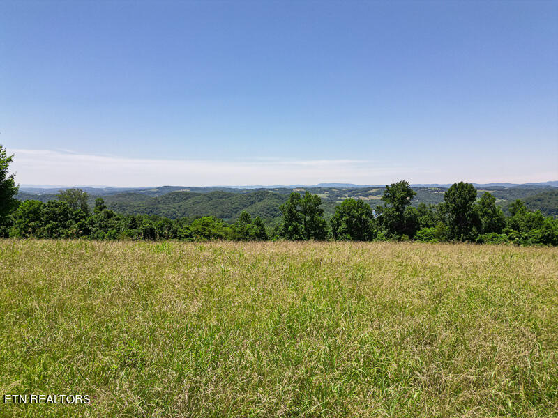 9 Overton Road Maynardville, TN 37807 - Photo 1 of 14 001--SMALL
