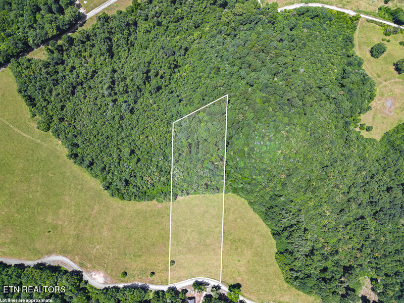 9 Overton Road Maynardville, TN 37807 - Photo 12 of 14 012--SMALL