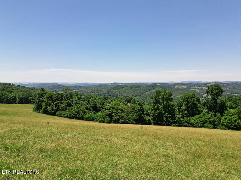 9 Overton Road Maynardville, TN 37807 - Photo 2 of 14 002--SMALL