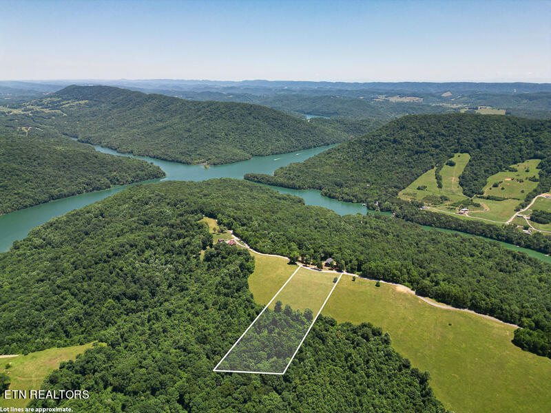 9 Overton Road Maynardville, TN 37807 - Photo 10 of 14 010--SMALL