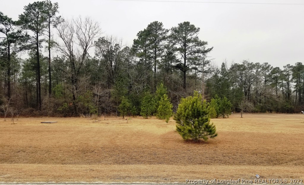 Red Oak Farm Road, Unit 17 Tar Heel, NC 28392 - Photo 1 of 1 Gallery Image 1