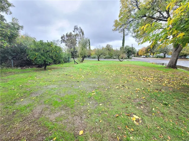 a view of a field with trees